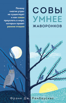 Совы умнее жаворонков. Почему «магии утра» не существует и как совам преуспеть в мире, в котором правят ранние пташки